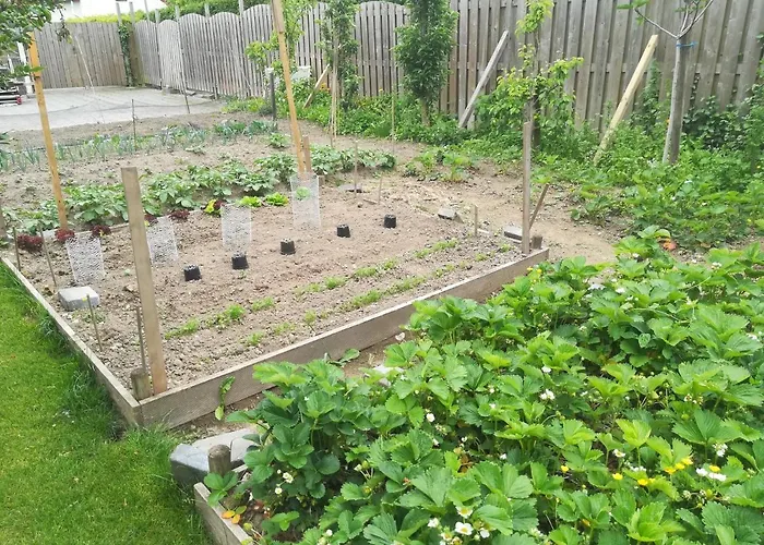 Liberation Margraten