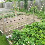 Liberation Margraten